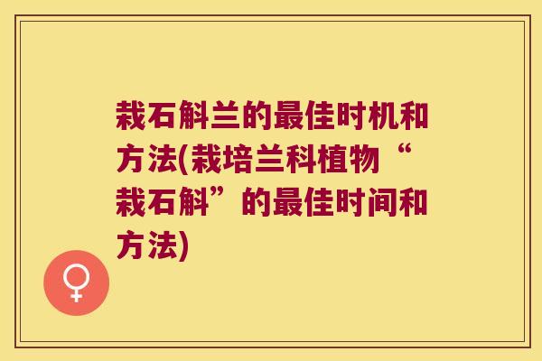 栽石斛兰的最佳时机和方法(栽培兰科植物“栽石斛”的最佳时间和方法)