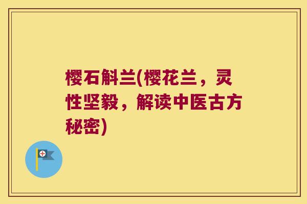樱石斛兰(樱花兰，灵性坚毅，解读中医古方秘密)
