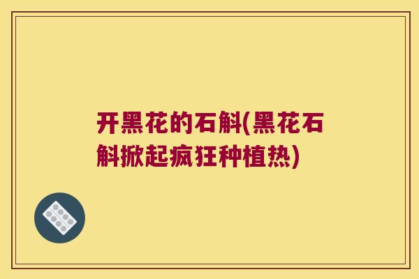 开黑花的石斛(黑花石斛掀起疯狂种植热)