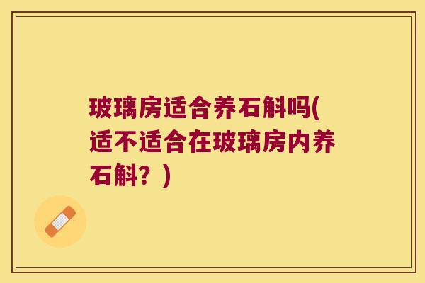 玻璃房适合养石斛吗(适不适合在玻璃房内养石斛？)