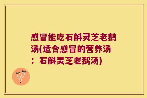 感冒能吃石斛灵芝老鹅汤(适合感冒的营养汤：石斛灵芝老鹅汤)