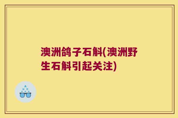 澳洲鸽子石斛(澳洲野生石斛引起关注)