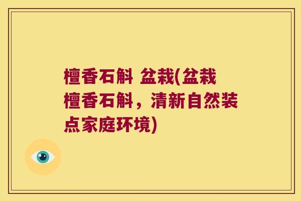 檀香石斛 盆栽(盆栽檀香石斛，清新自然装点家庭环境)