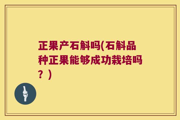 正果产石斛吗(石斛品种正果能够成功栽培吗？)
