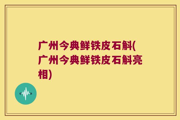 广州今典鲜铁皮石斛(广州今典鲜铁皮石斛亮相)