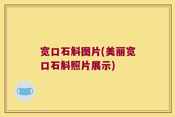 宽口石斛图片(美丽宽口石斛照片展示)