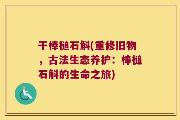 干棒槌石斛(重修旧物，古法生态养护：棒槌石斛的生命之旅)