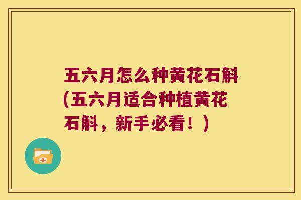 五六月怎么种黄花石斛(五六月适合种植黄花石斛，新手必看！)