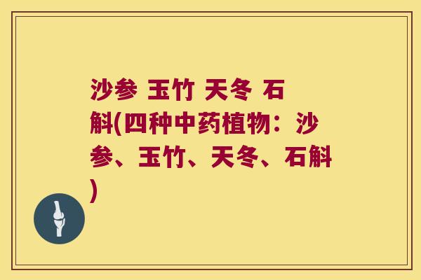 沙参 玉竹 天冬 石斛(四种中药植物：沙参、玉竹、天冬、石斛)