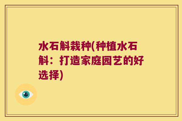 水石斛栽种(种植水石斛:打造家庭园艺的好选择) 水石斛栽种(种植水石斛:打造家庭园艺的好选择)
