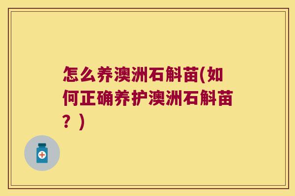 怎么养澳洲石斛苗(如何正确养护澳洲石斛苗？)