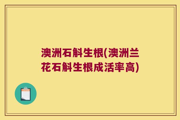 澳洲石斛生根(澳洲兰花石斛生根成活率高)