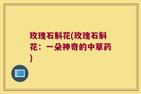 玫瑰石斛花(玫瑰石斛花:一朵神奇的中草药) 玫瑰石斛花(玫瑰石斛花:一朵神奇的中草药)