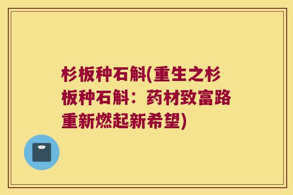杉板种石斛(重生之杉板种石斛:药材致富路重新燃起新希望) 杉板种石斛(重生之杉板种石斛:药材致富路重新燃起新希望)