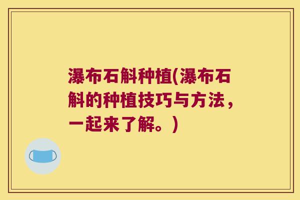 瀑布石斛种植(瀑布石斛的种植技巧与方法，一起来了解。)