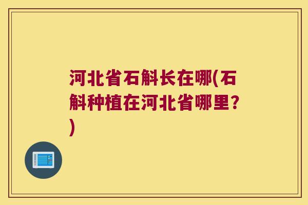 河北省石斛长在哪(石斛种植在河北省哪里？)