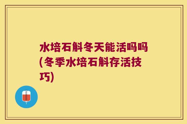 水培石斛冬天能活吗吗(冬季水培石斛存活技巧)