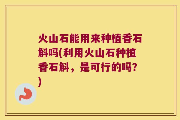 火山石能用来种植香石斛吗(利用火山石种植香石斛，是可行的吗？)