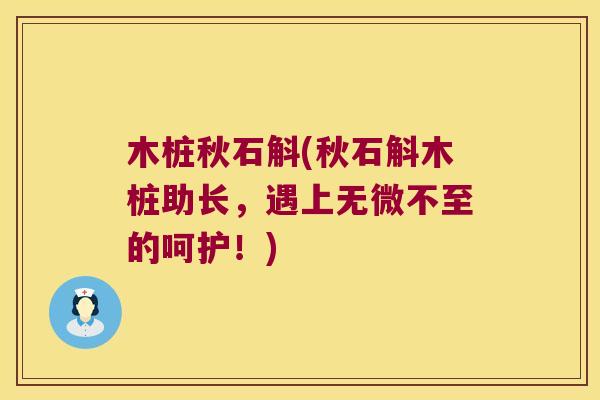 木桩秋石斛(秋石斛木桩助长，遇上无微不至的呵护！)