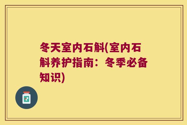 冬天室内石斛(室内石斛养护指南：冬季必备知识)