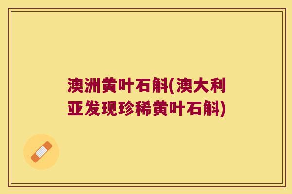 澳洲黄叶石斛(澳大利亚发现珍稀黄叶石斛)