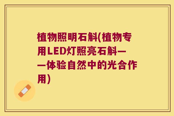 植物照明石斛(植物专用LED灯照亮石斛——体验自然中的光合作用)