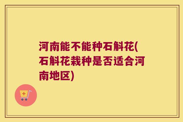 河南能不能种石斛花(石斛花栽种是否适合河南地区)