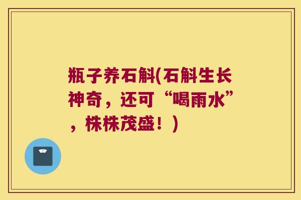 瓶子养石斛(石斛生长神奇,还可“喝雨水”,株株茂盛!) 瓶子养石斛(石斛生长神奇,还可“喝雨水”,株株茂盛!)