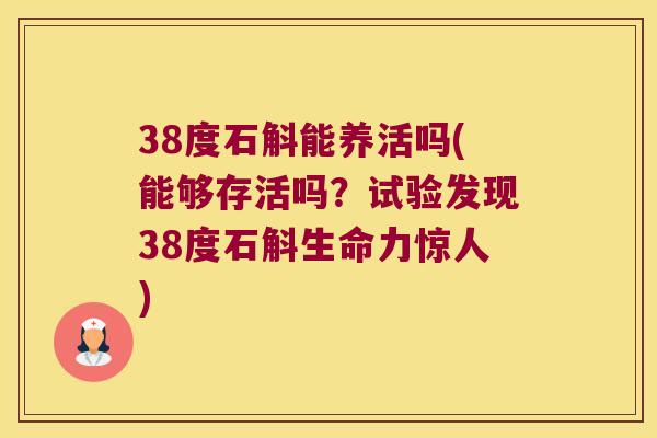 38度石斛能养活吗(能够存活吗？试验发现38度石斛生命力惊人)