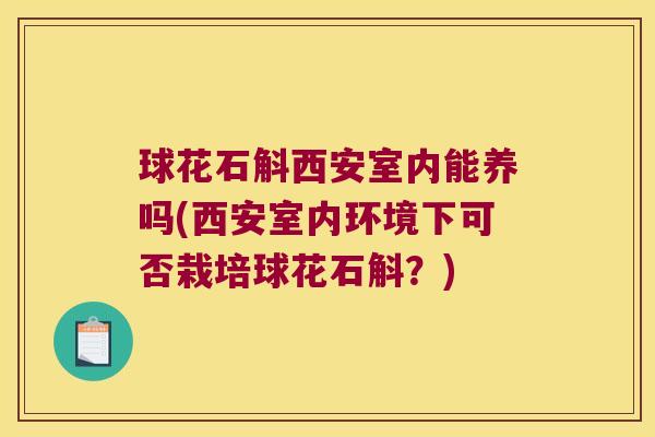 球花石斛西安室内能养吗(西安室内环境下可否栽培球花石斛？)