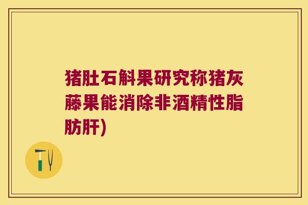 猪肚石斛果研究称猪灰藤果能消除非酒精性脂肪肝)