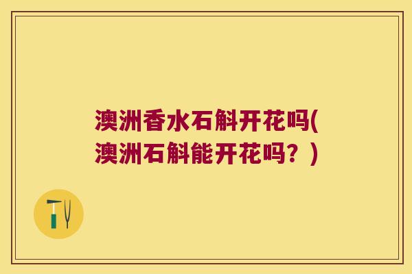 澳洲香水石斛开花吗(澳洲石斛能开花吗？)