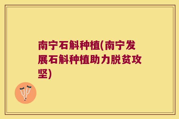 南宁石斛种植(南宁发展石斛种植助力脱贫攻坚)