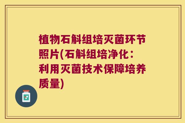 植物石斛组培灭菌环节照片(石斛组培净化：利用灭菌技术保障培养质量)