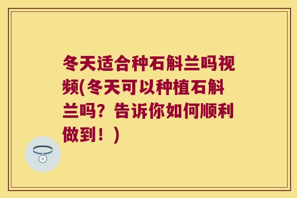 冬天适合种石斛兰吗视频(冬天可以种植石斛兰吗?告诉你如何顺利做到!) 冬天适合种石斛兰吗视频(冬天可以种植石斛兰吗?告诉你如何顺利做到!)