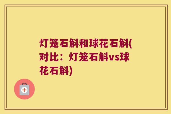 灯笼石斛和球花石斛(对比：灯笼石斛vs球花石斛)