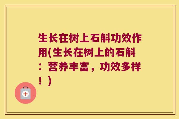 生长在树上石斛功效作用(生长在树上的石斛：营养丰富，功效多样！)