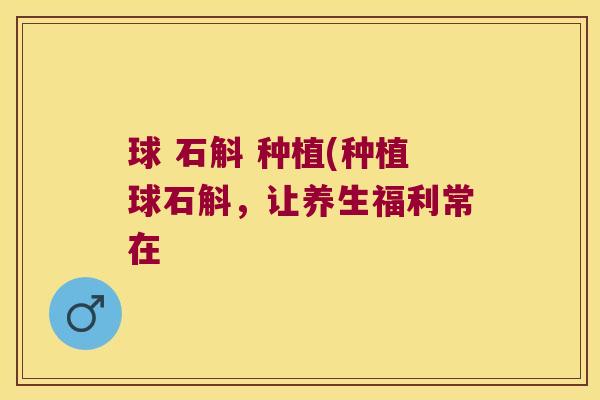 球 石斛 种植(种植球石斛，让养生福利常在