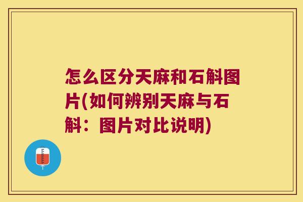 怎么区分天麻和石斛图片(如何辨别天麻与石斛：图片对比说明)