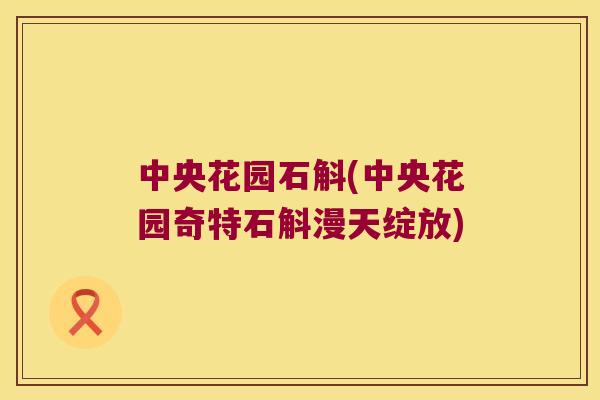 中央花园石斛(中央花园奇特石斛漫天绽放)