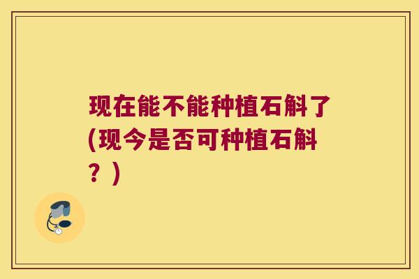 现在能不能种植石斛了(现今是否可种植石斛？)