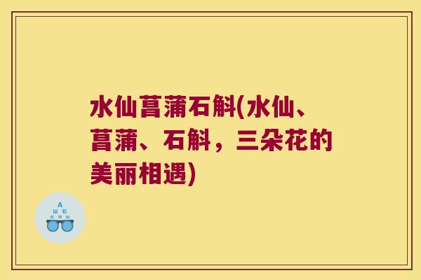 水仙菖蒲石斛(水仙、菖蒲、石斛，三朵花的美丽相遇)