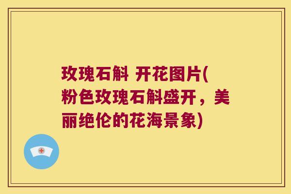 玫瑰石斛 开花图片(粉色玫瑰石斛盛开，美丽绝伦的花海景象)