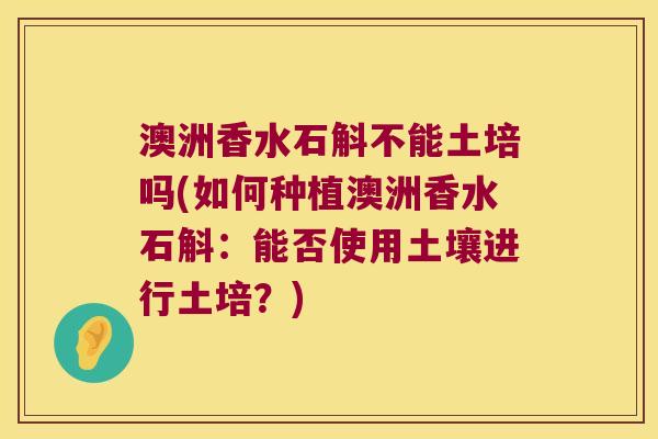 澳洲香水石斛不能土培吗(如何种植澳洲香水石斛：能否使用土壤进行土培？)