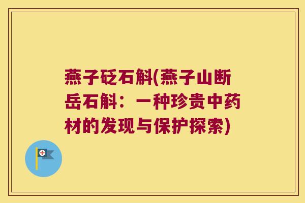 燕子砭石斛(燕子山断岳石斛：一种珍贵中药材的发现与保护探索)