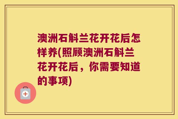 澳洲石斛兰花开花后怎样养(照顾澳洲石斛兰花开花后，你需要知道的事项)