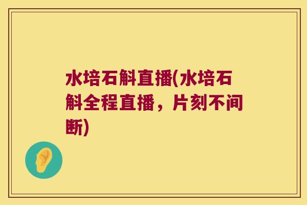 水培石斛直播(水培石斛全程直播，片刻不间断)