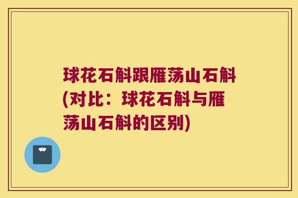 球花石斛跟雁荡山石斛(对比：球花石斛与雁荡山石斛的区别)
