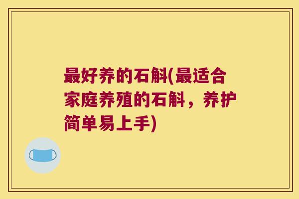 好养的石斛(适合家庭养殖的石斛，养护简单易上手)