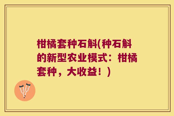 柑橘套种石斛(种石斛的新型农业模式：柑橘套种，大收益！)